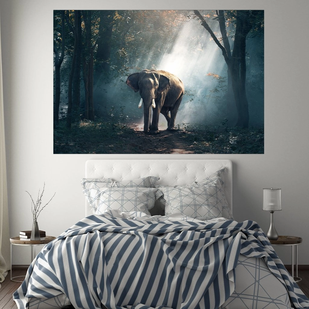 Lonely Elephant