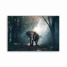 Lonely Elephant framed mural artwork