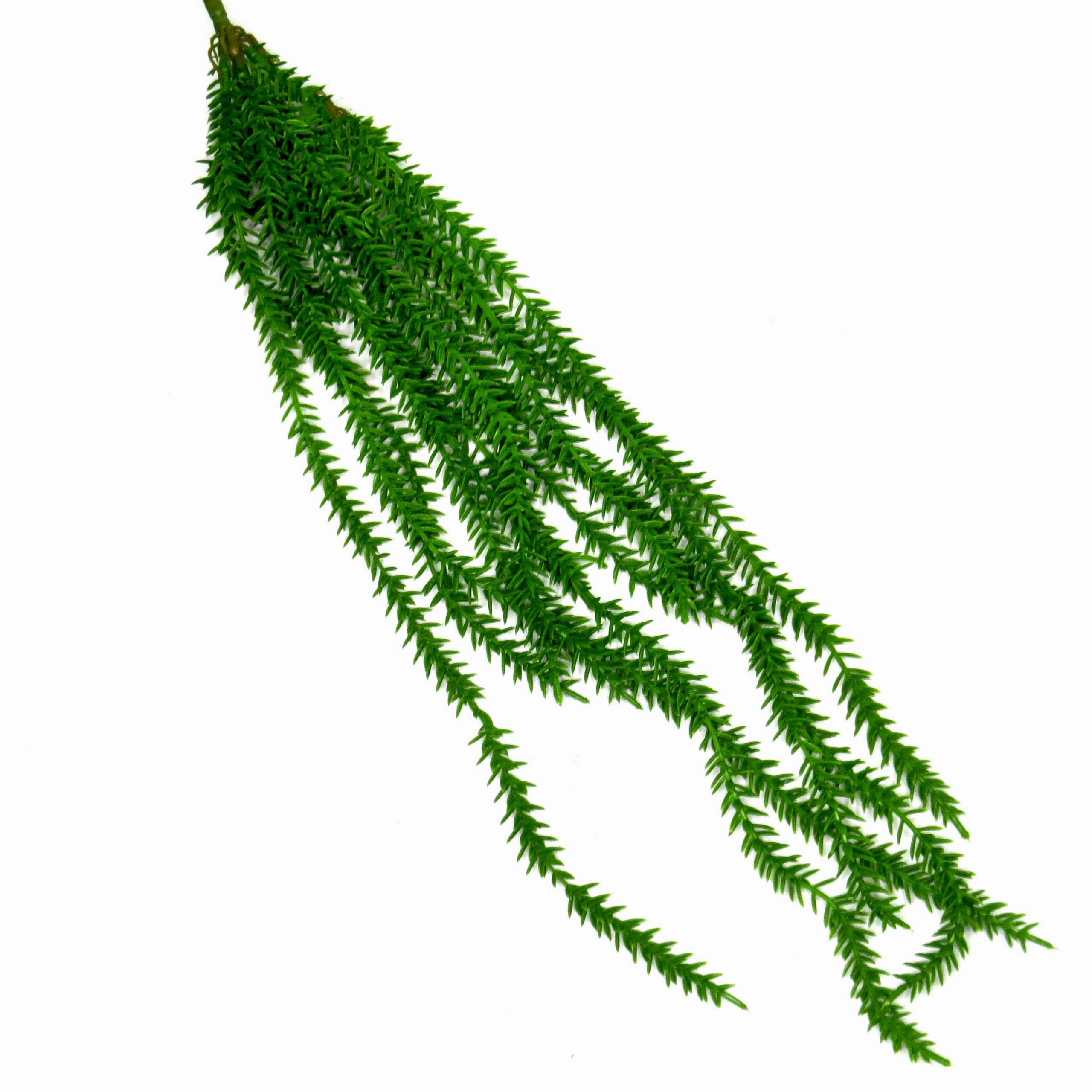 Longchamp Vine