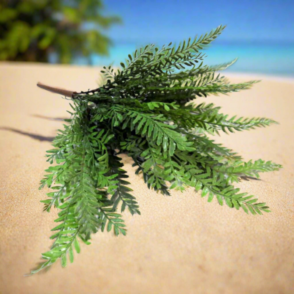 Longifolio Bush