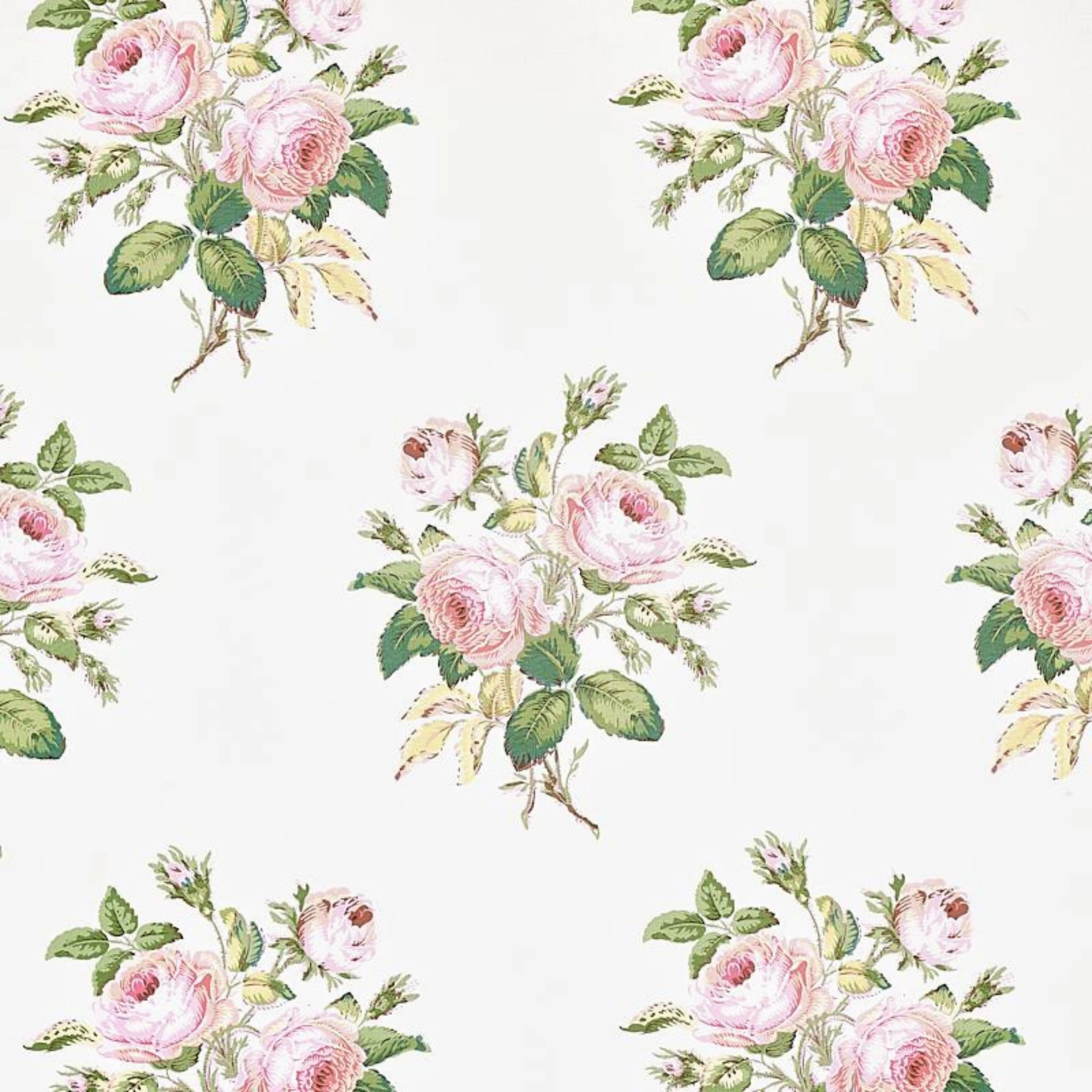 Loudon Rose Wallpaper in Blush paper wall covering