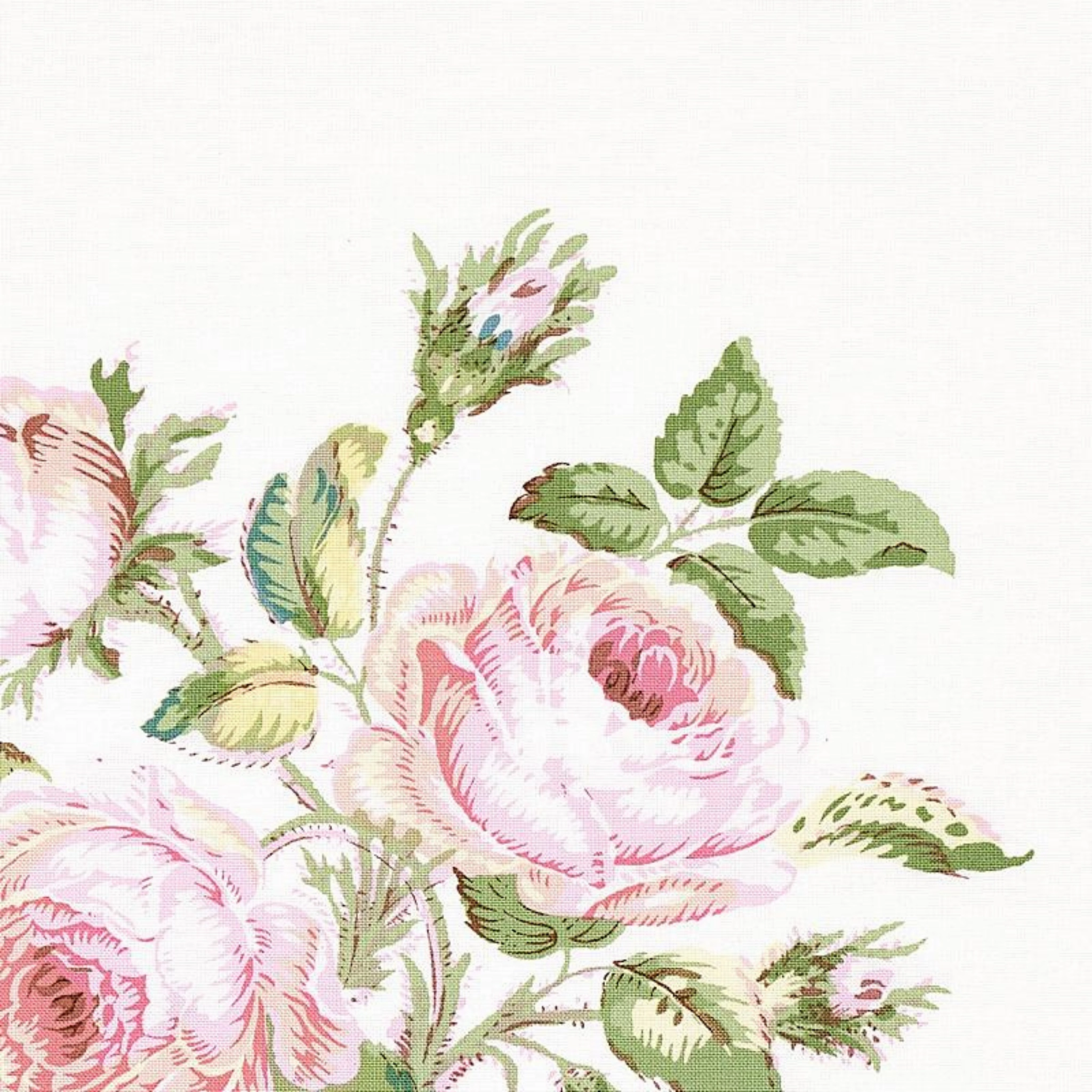 Loudon Rose Wallpaper in Blush