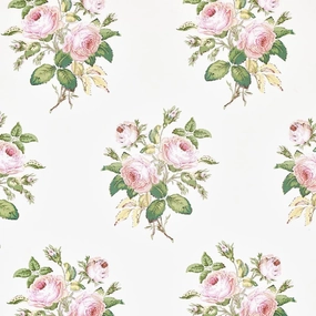Loudon Rose Wallpaper in Blush paper wall covering