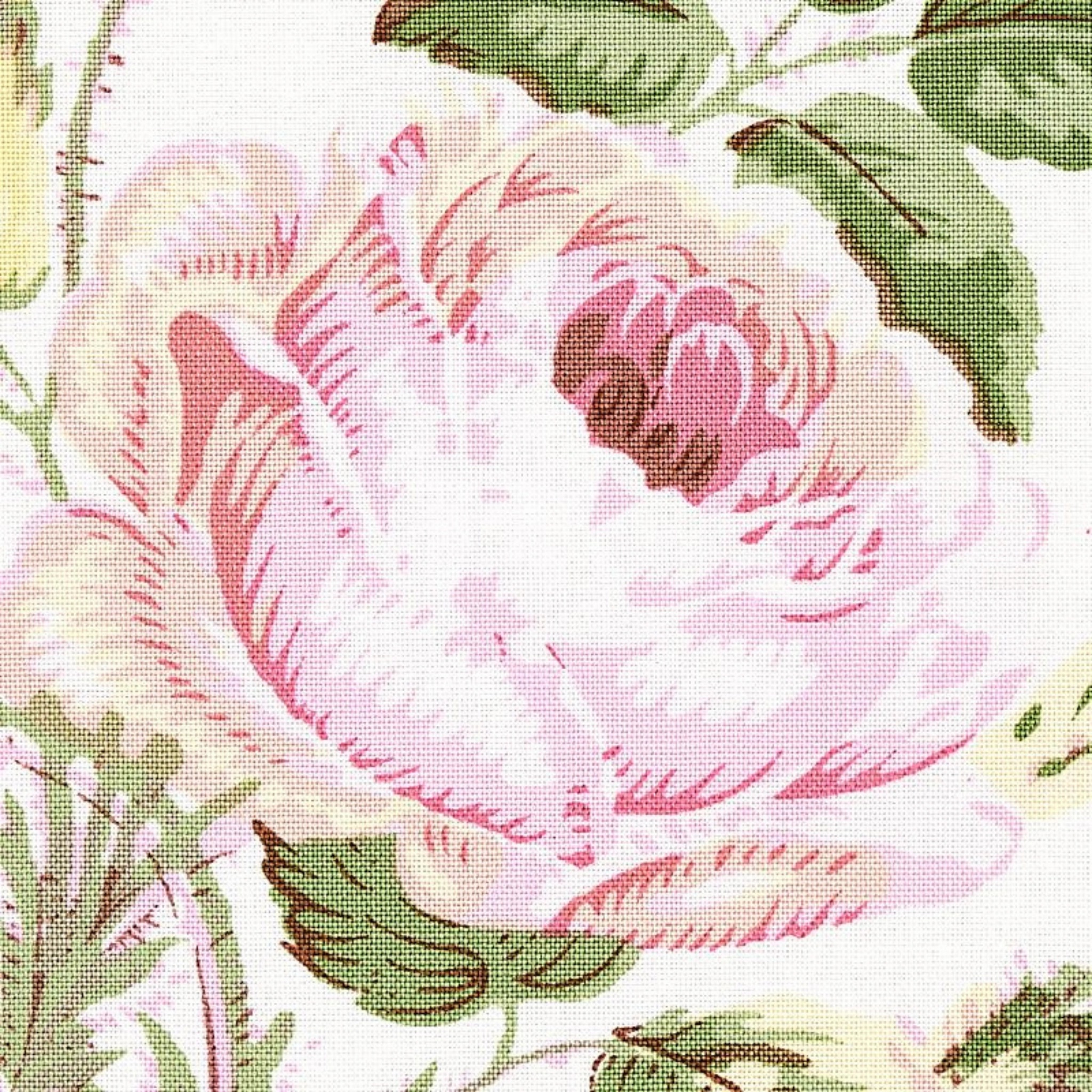 Loudon Rose Wallpaper in Blush