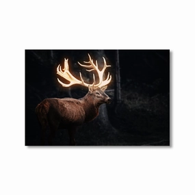 Magical Deer by Himmelmiez framed mural artwork