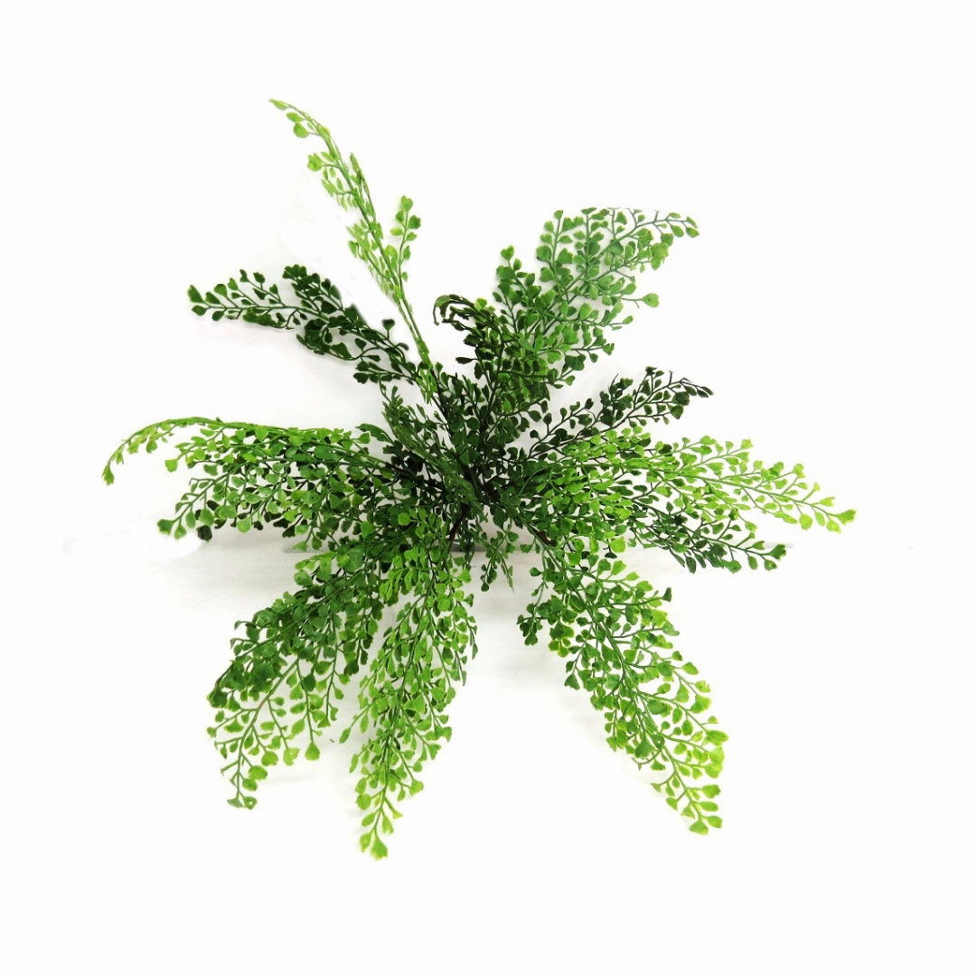 Maidenhair Bunch