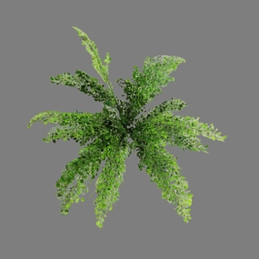 Maidenhair Bunch decorative home ornament