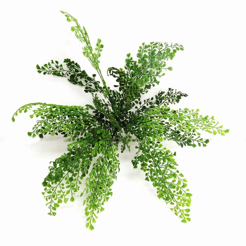 Maidenhair Bunch