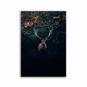 Majestic Deer by Philipp Pilz framed mural artwork