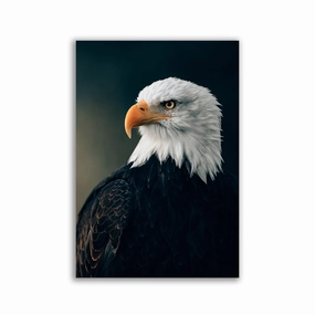 Majestic Eagle by Philipp Pilz framed mural artwork
