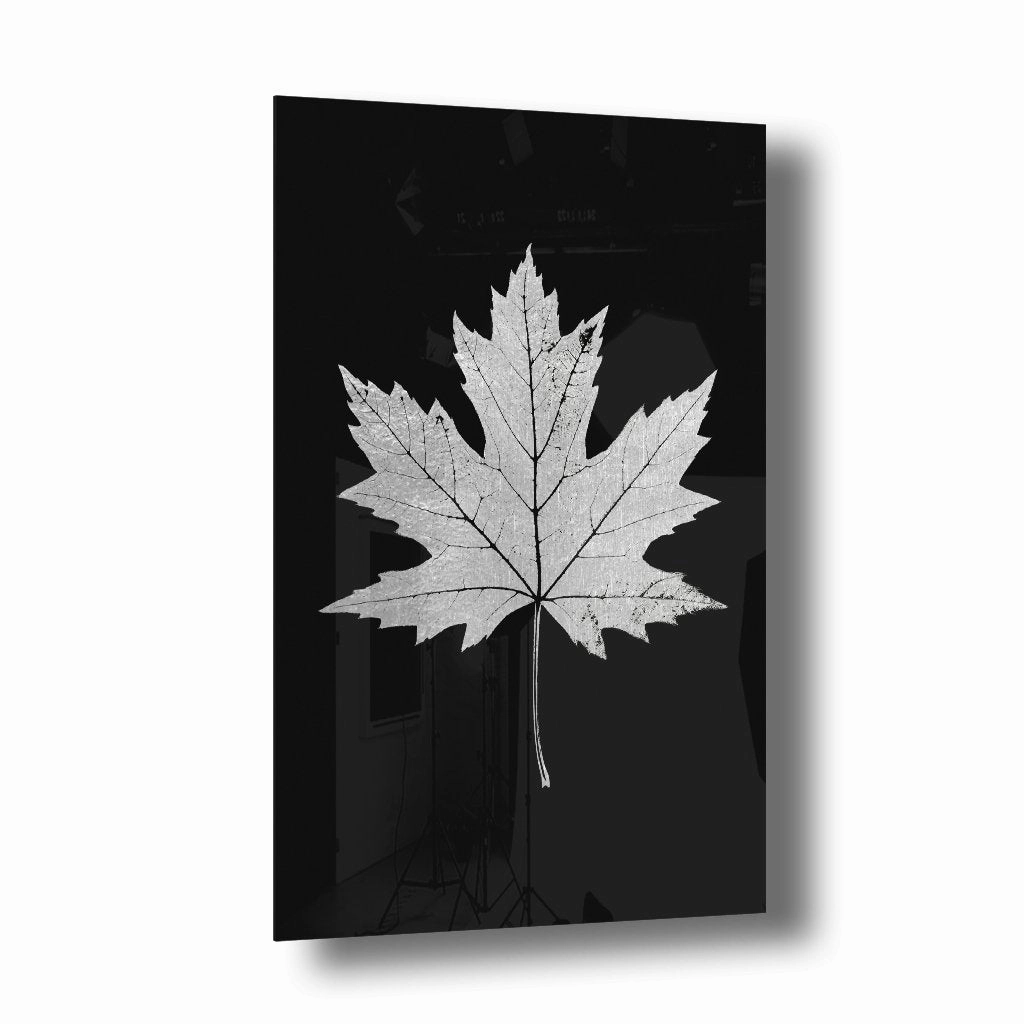Maple Leaf Silver on Acrylic framed mural artwork