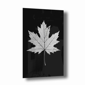 Maple Leaf Silver on Acrylic framed mural artwork