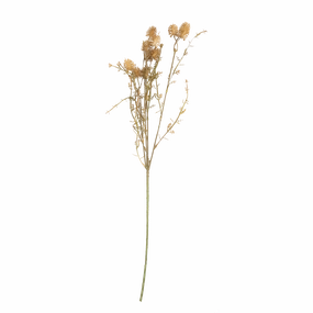 Meadow Pom Pom Stem creative interior decor