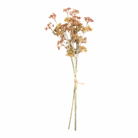 Meadow Sedge Stem creative interior decor