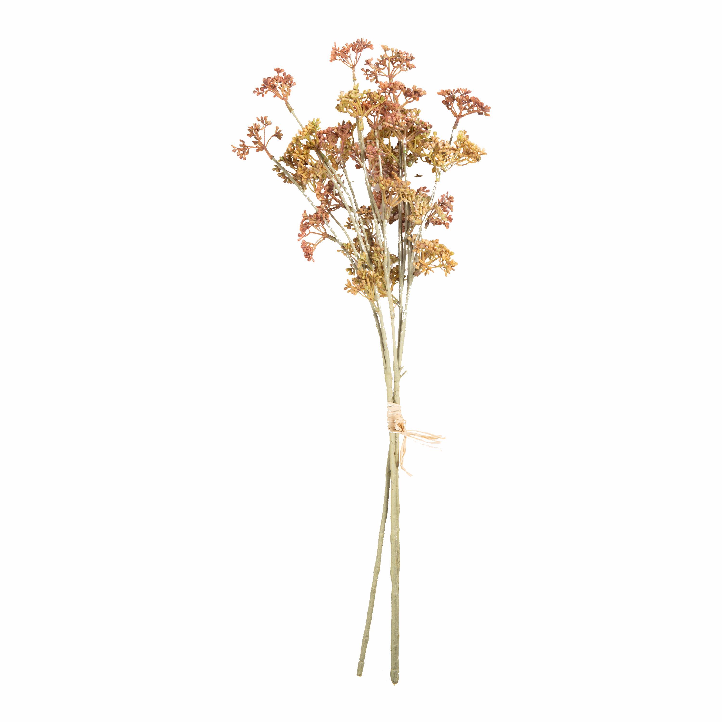 Meadow Sedge Stem creative interior decor
