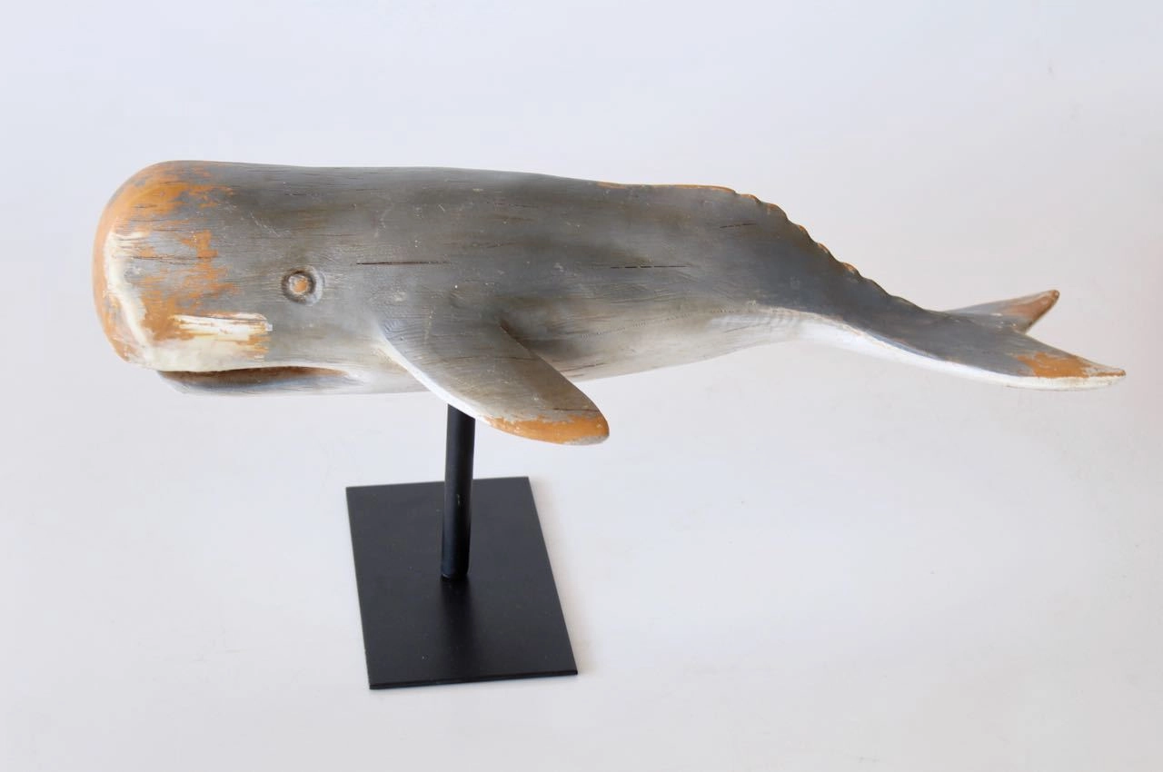 Medium grey whale on stand