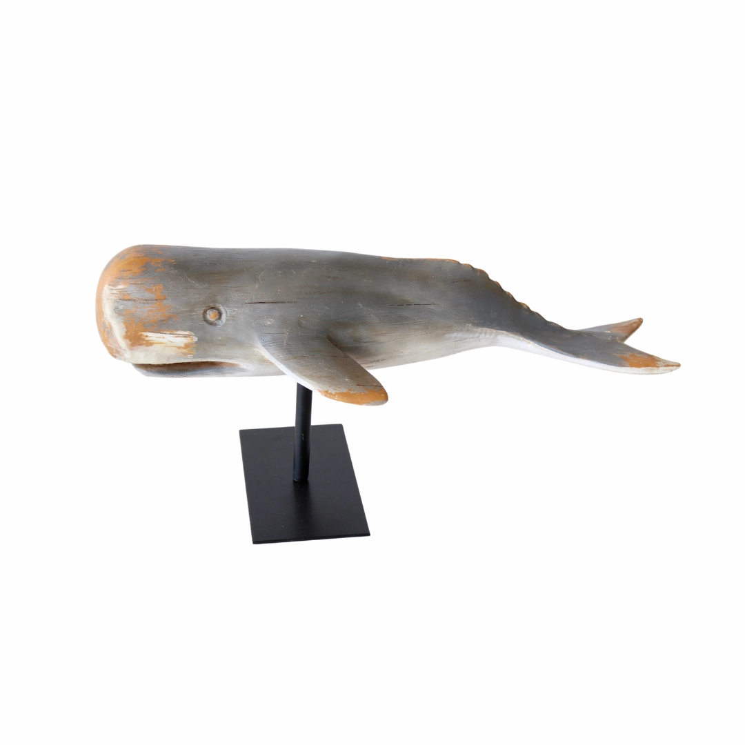 Medium grey whale on stand