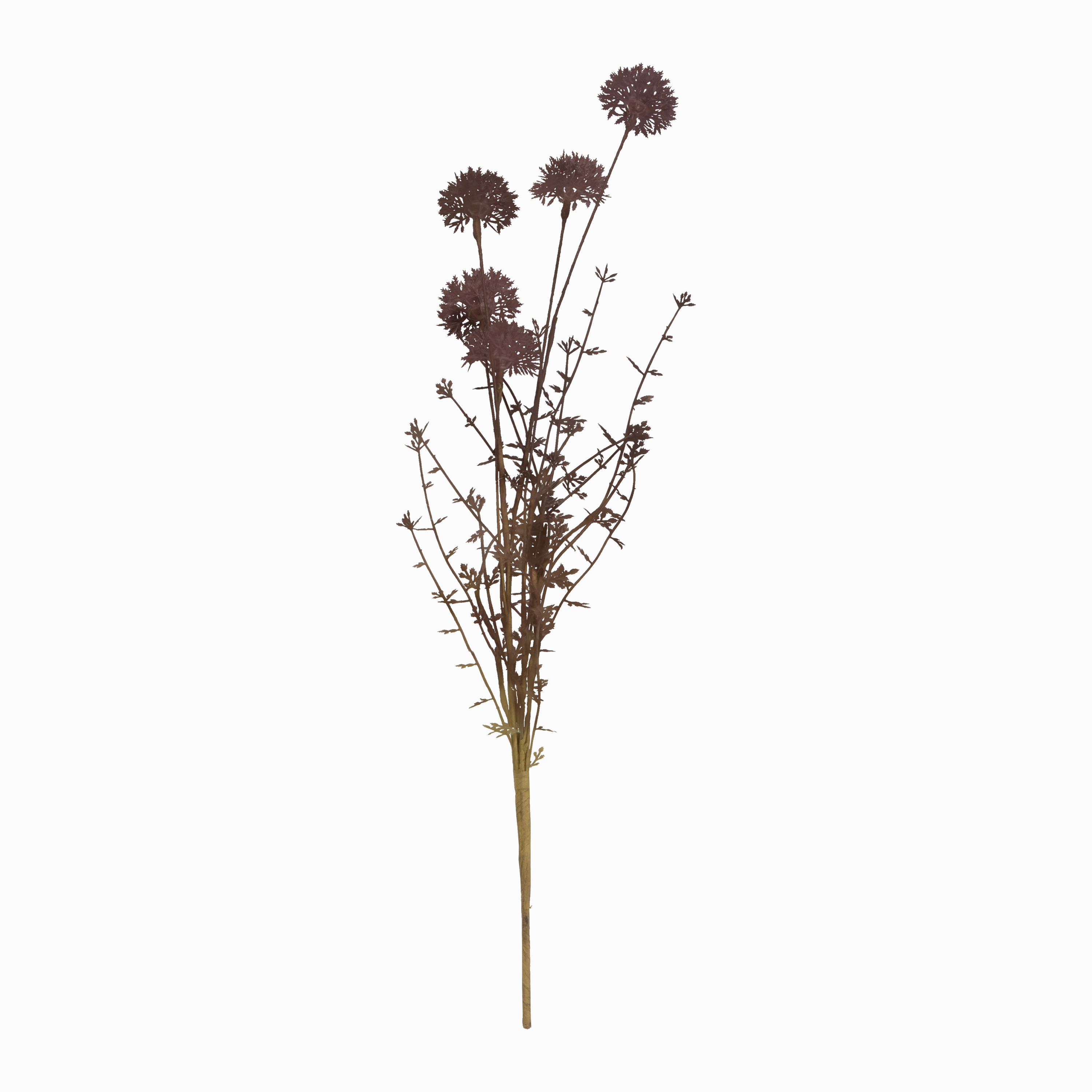 Melaleuca Stem creative interior decor