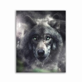 Midnight Wolf by Zenzdesign framed mural artwork