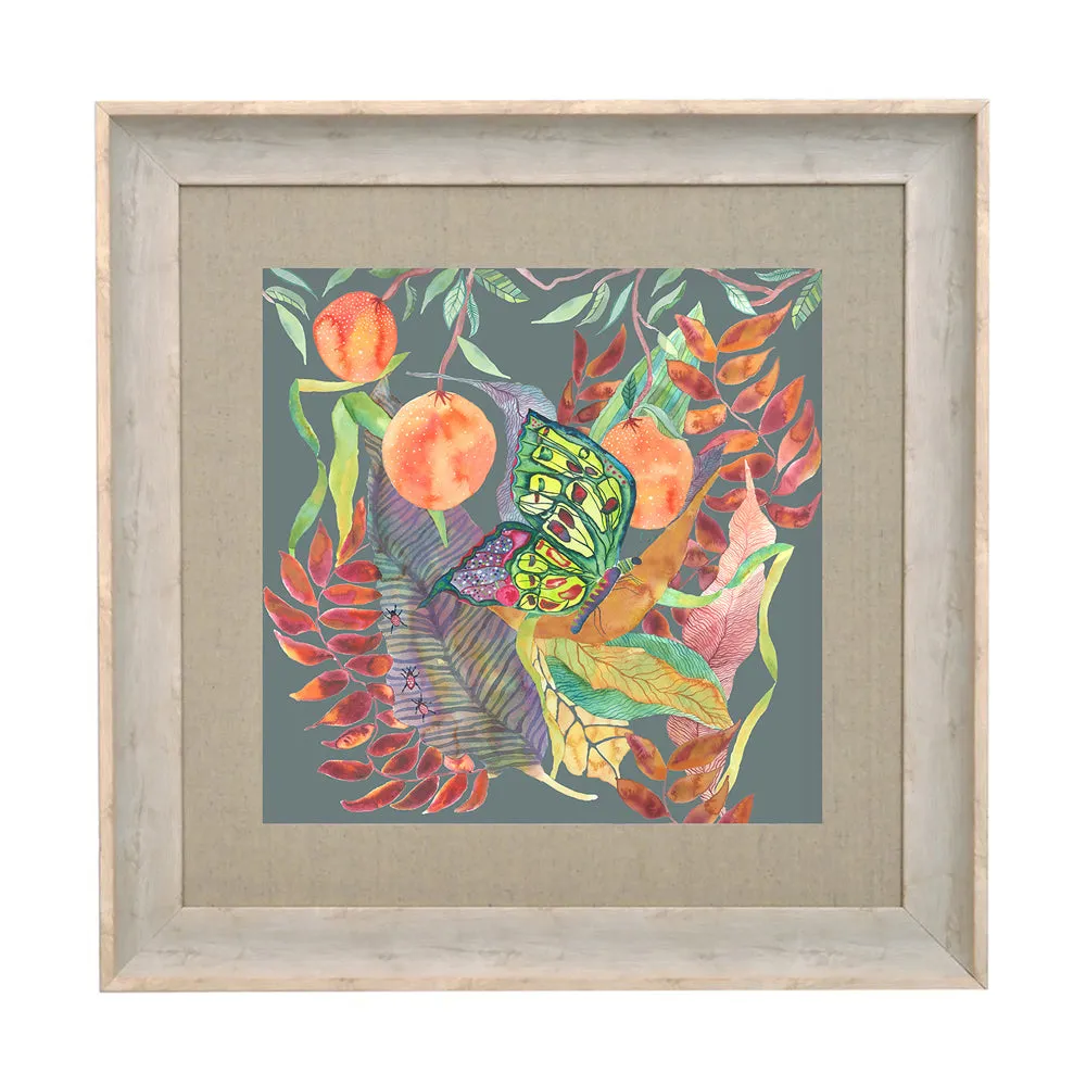 Mirabella Framed Print Birch