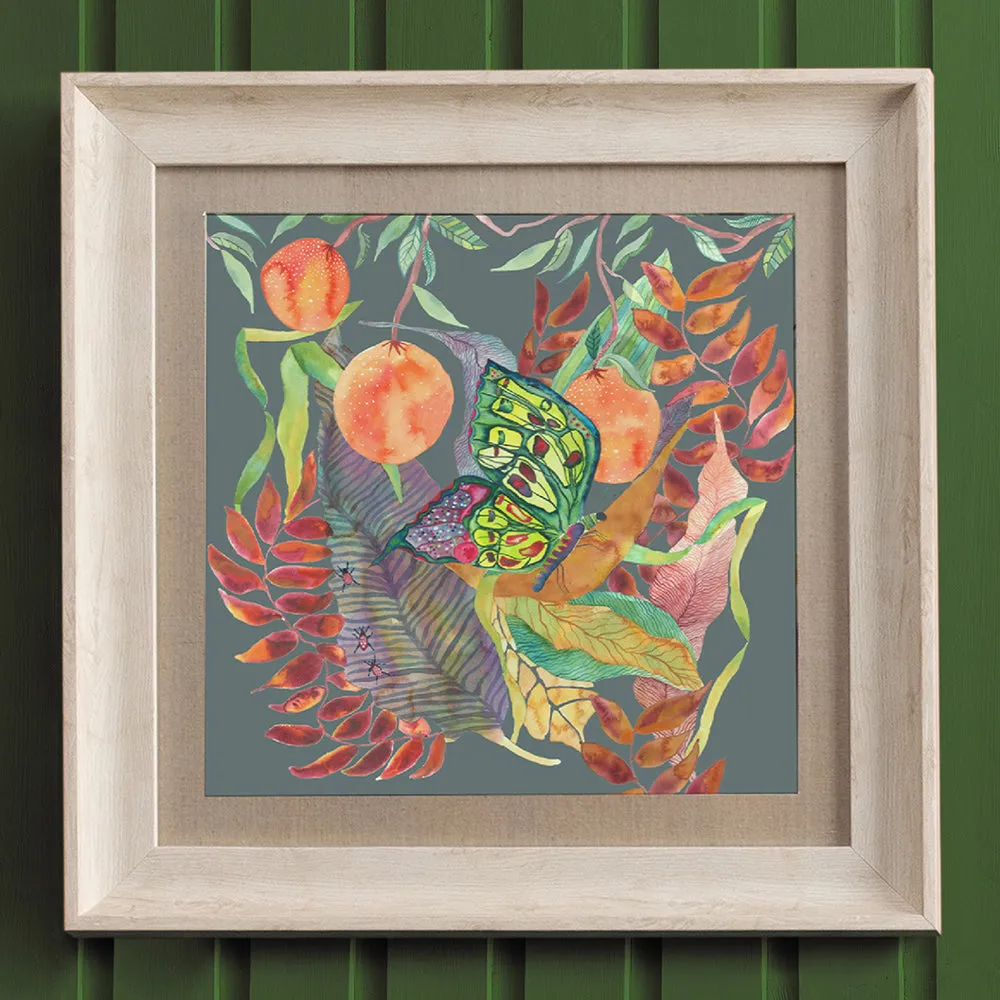 Mirabella Framed Print Birch