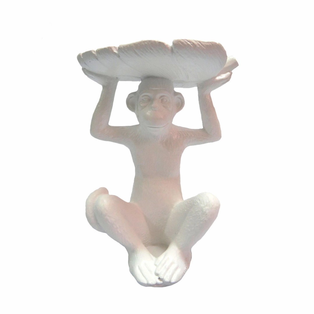 Monkey Malindi White