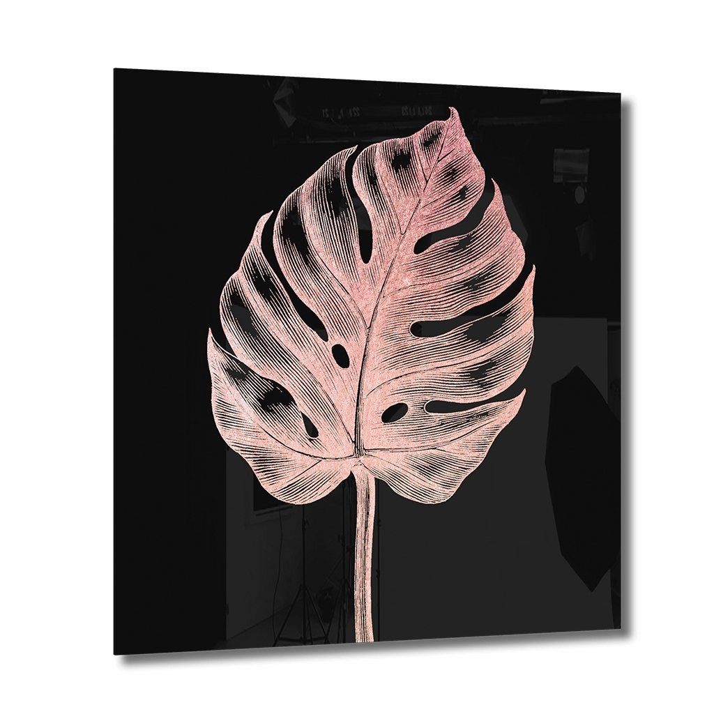 Monstera No. 1 Ros on Acrylic framed mural artwork