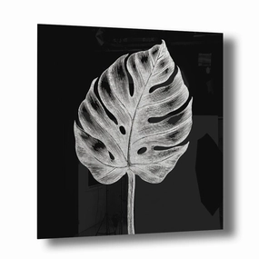 Monstera No. 1 Silver on Acrylic framed mural artwork