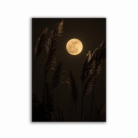 Moon framed mural artwork