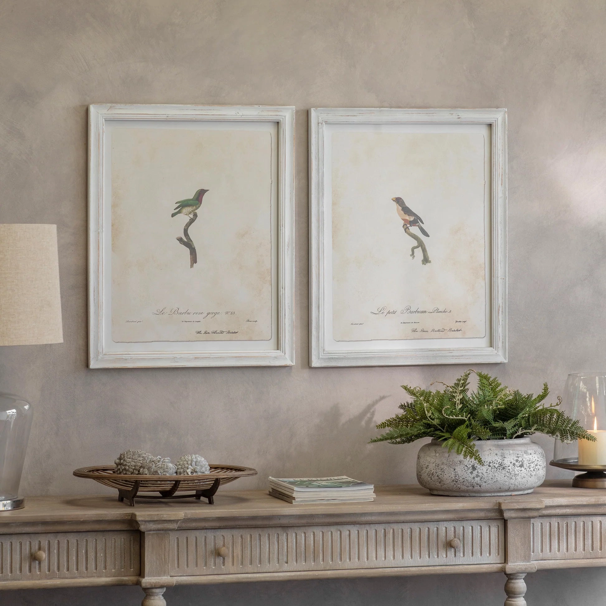Moreton Set of Two Becard and Barbet Framed Prints 72cm modern mural painting
