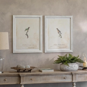 Moreton Set of Two Becard and Barbet Framed Prints 72cm modern mural painting