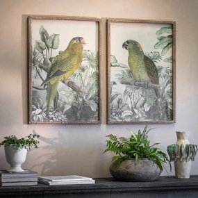 Moreton Set of Two Parrot Framed Prints 70cm modern mural painting
