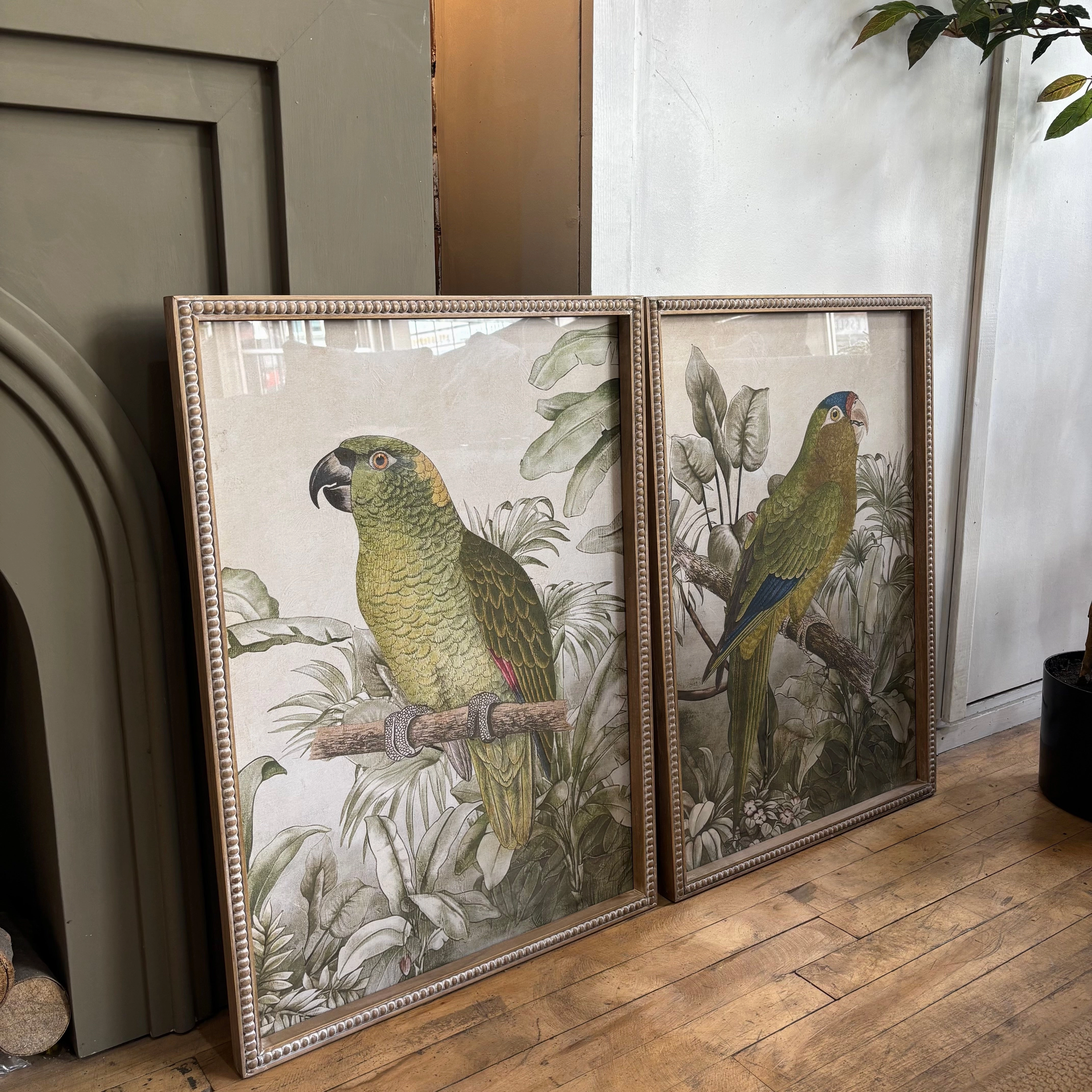 Moreton Set of Two Parrot Framed Prints 70cm