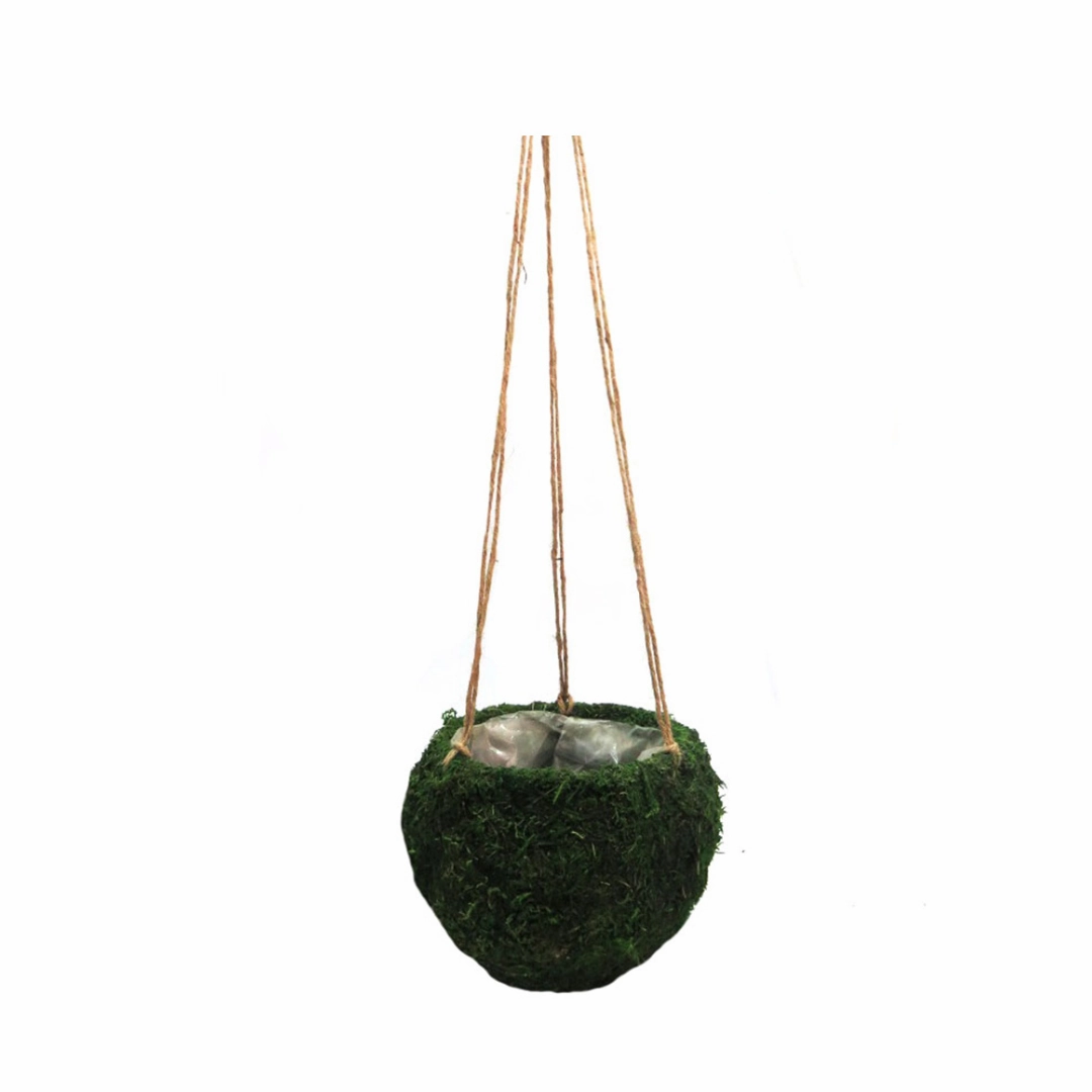 Mosshang Hanging Basket