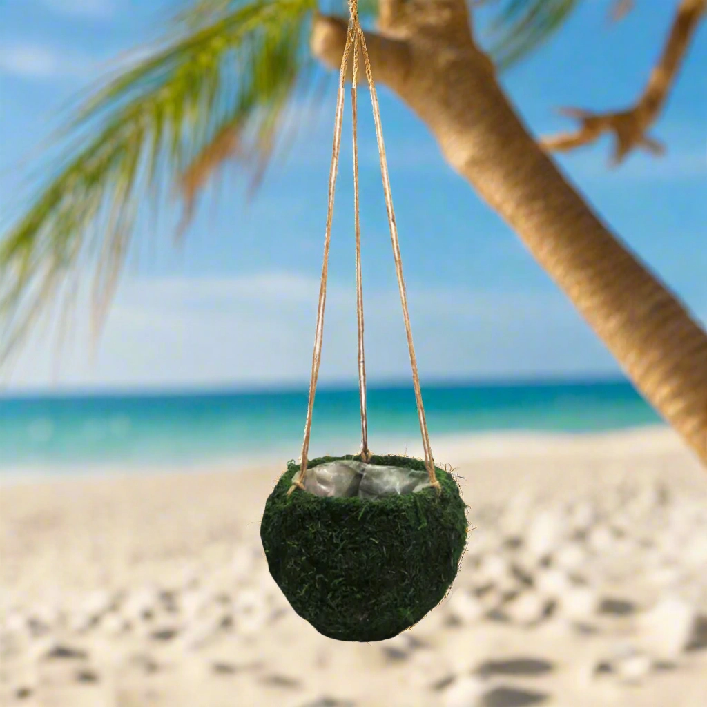 Mosshang Hanging Basket