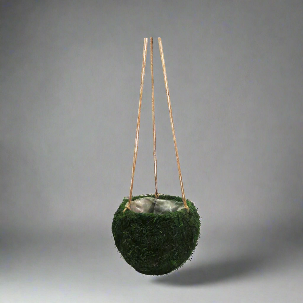 Mosshang Hanging Basket decorative home ornament