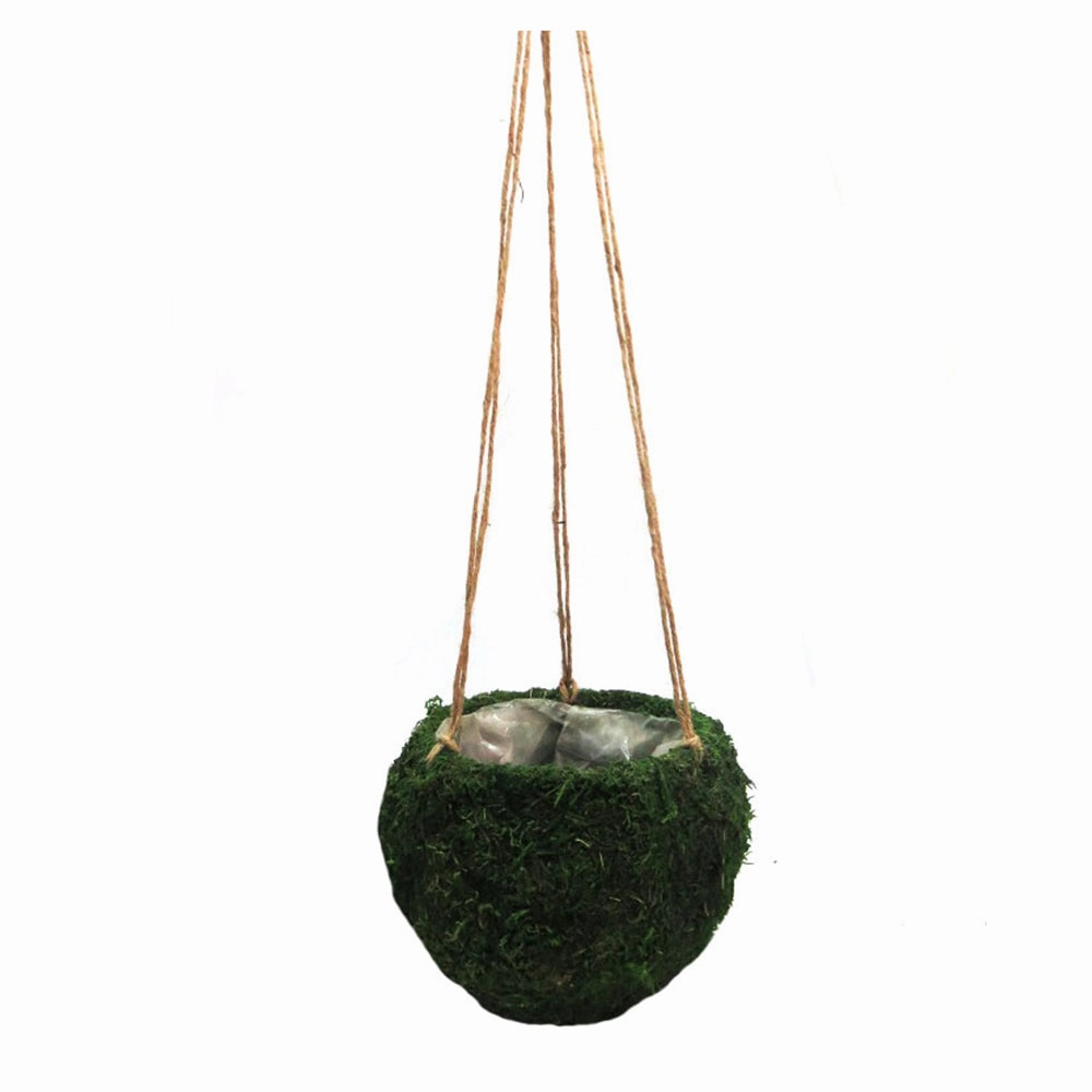 Mosshang Hanging Basket