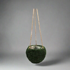 Mosshang Hanging Basket decorative home ornament
