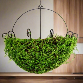 Mosswood basket decorative home ornament