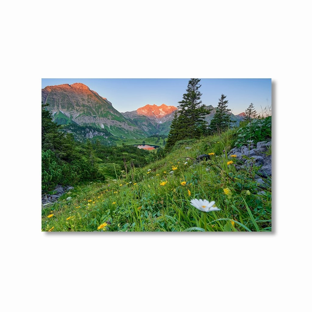 Mountain Meadow in Austria by Nenad Jovic framed mural artwork