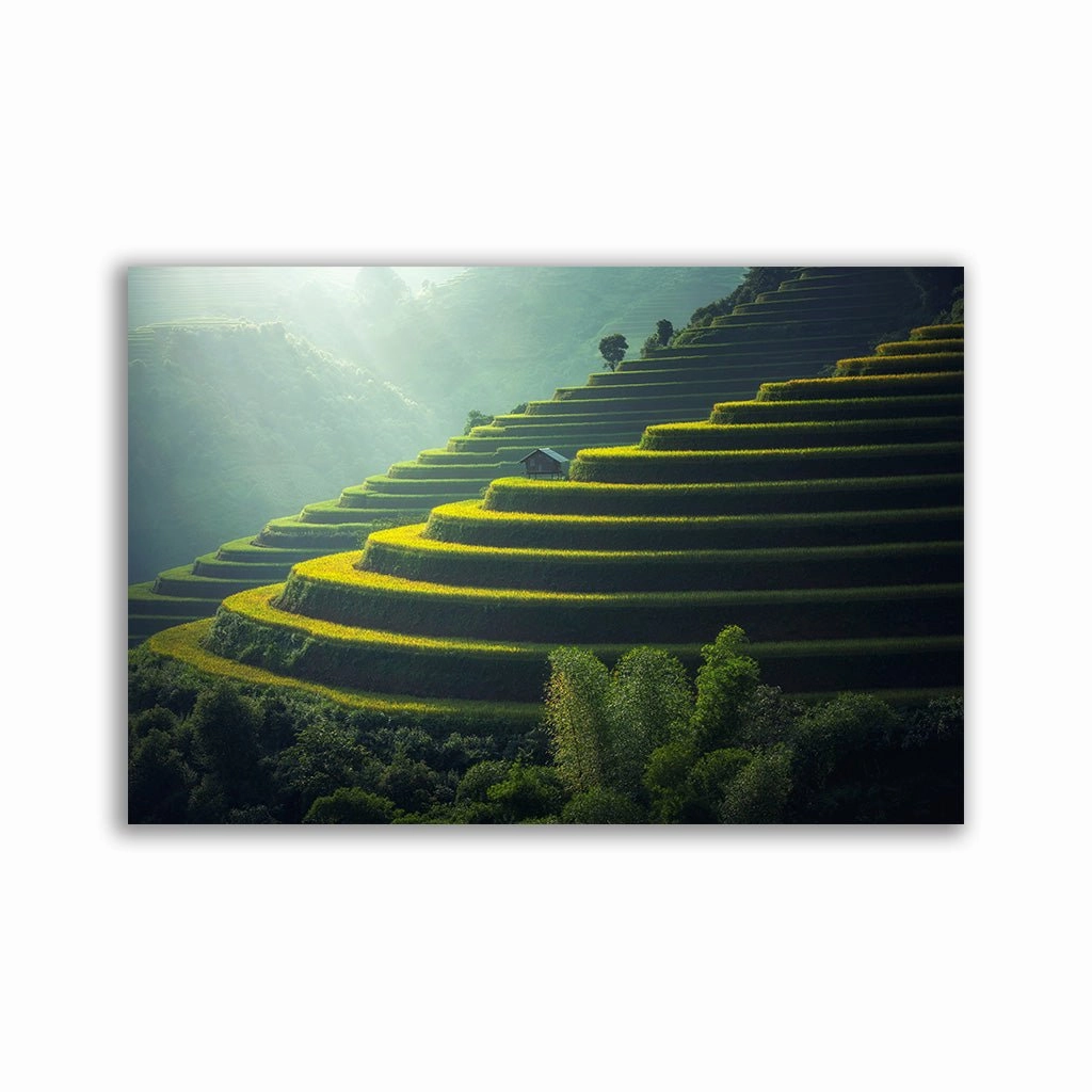 Mystical Garden framed mural artwork
