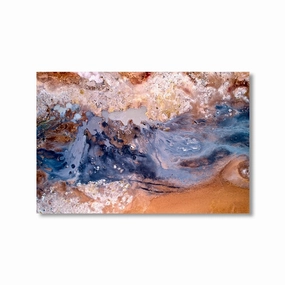 Natural Spectacle by Nenad Jovic framed mural artwork