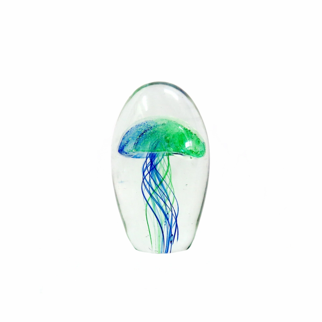 Nemo 12cm