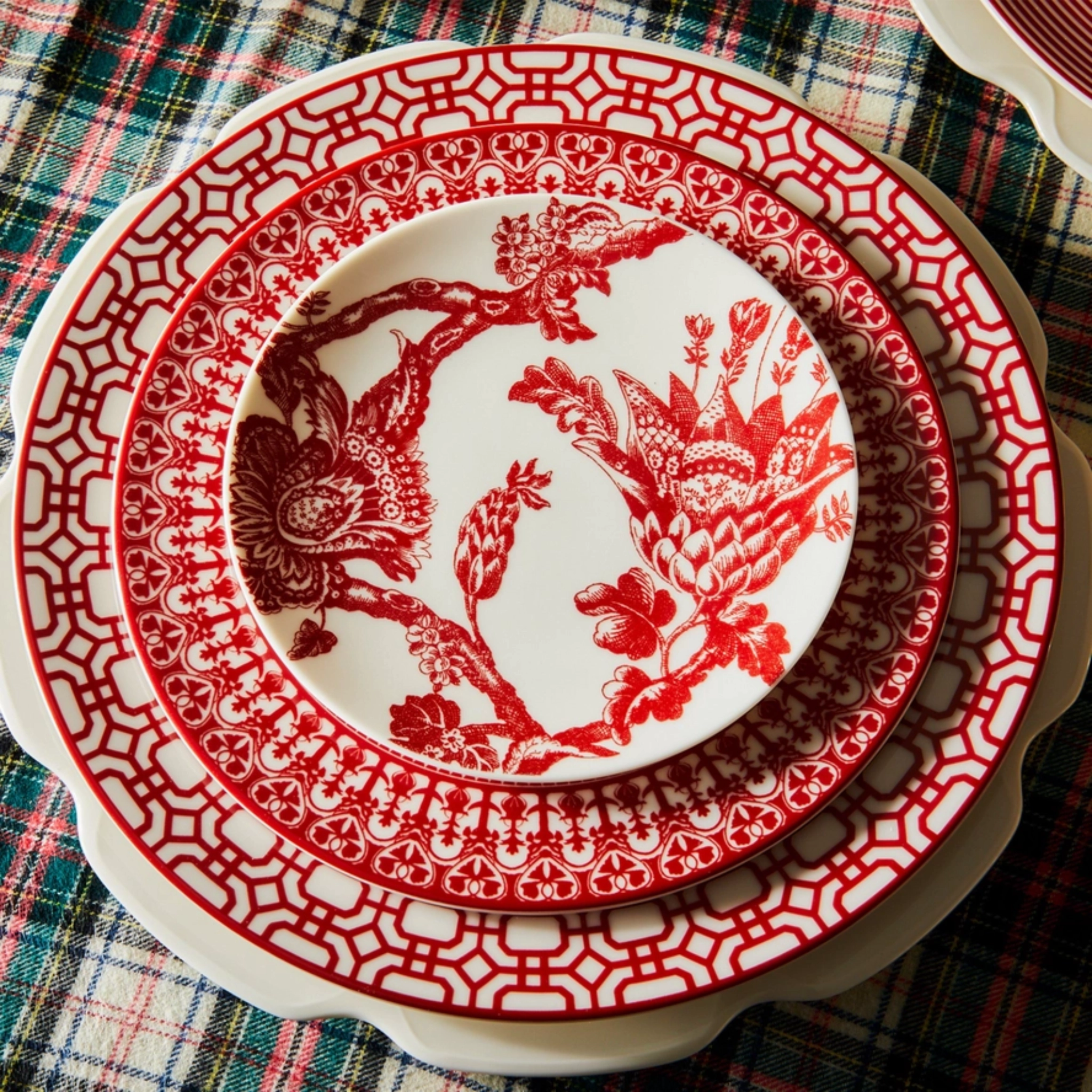 Newport Garden Gate Crimson Dinner Plate