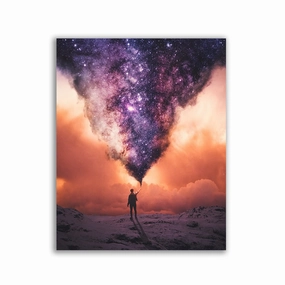Noctis by Sublimenation framed mural artwork