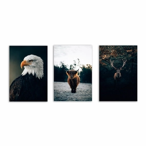 Nordic Animals - Triptych by Philipp Pilz framed mural artwork