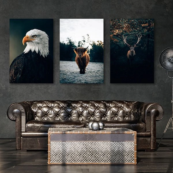 Nordic Animals - Triptych by Philipp Pilz