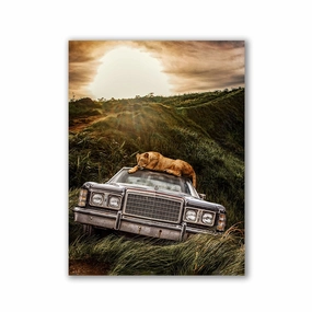 Nostalgic Rest by Adrian Vieriu framed mural artwork