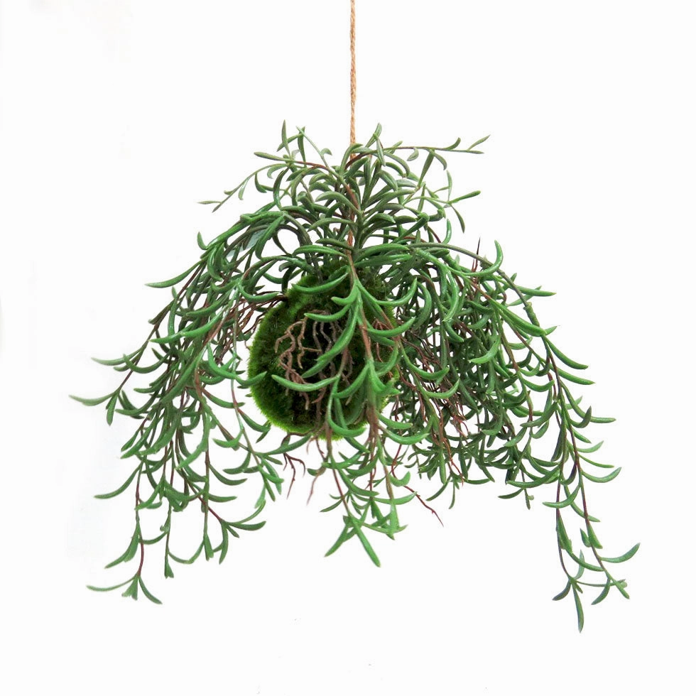Nuclea Growth Ball