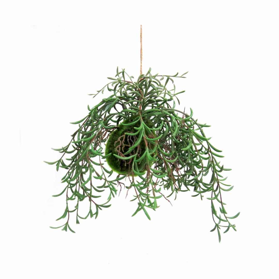 Nuclea Growth Ball